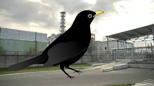 Fast 35 jahre nach der reaktorkatastrophe von tschernobyl sind viele tiere im freistaat. In Tschernobyl Sind Manche Vogel Grosser Geworden Tierwelt