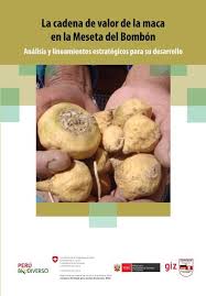 Ver más ideas sobre retos para whatsapp atrevidos, encuestas para whatsapp, juegos para whatsapp. La Cadena De Valor De La Maca En La Meseta Del Perubiodiverso