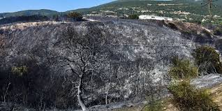Μεγάλη φωτιά ξέσπασε στη δροσιά αχαΐας το μεσημέρι της τετάρτης 28/7, με την πυροσβεστική να σπεύδει στο σημείο. 563gna5hi82tnm