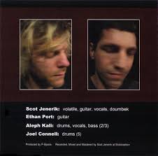 Preliminary Impact Report