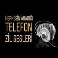 yerli turkce sarkilar panosundaki pin