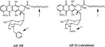 Image result for Valrubicin