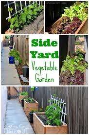 Side Yard Vegetable Garden Small Space Solutions Mom On Timeout Indoor Vegetable Gardening Backyard Vegetable Gardens Small Space Gardening