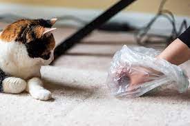 I need help with my cat pooping in house. Why Is My Cat Pooping In The House All Of A Sudden