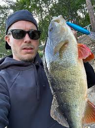 Catch reports, Skellefteälven (Skellefteå stadskärna)