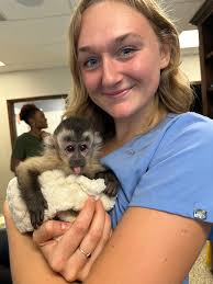 Plain City Animal Hospital