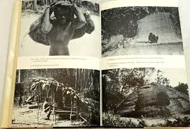 Résultat de recherche d'images pour "andaman islanders"