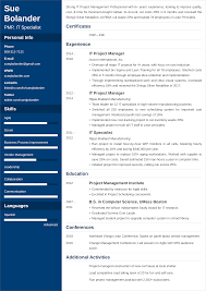 project manager resume sample25+