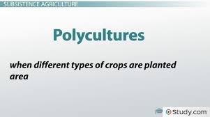 Types Of Agriculture Industrialized And Subsistence Agriculture