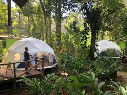 Official web sites of costa rica, the capital of costa rica, art, culture, history, cities. Faith Glamping Dome Costa Rica Bewertungen Fotos Preisvergleich Manzanillo Tripadvisor