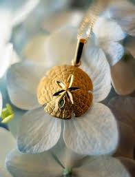 So, the next time you want to give the gift of beautiful fresh flowers to someone you know, be sure to choose the best florist near you, belly. 900 Weddings By Matt Steeves Photography Ideas Timeless Wedding Wedding Photography Photography