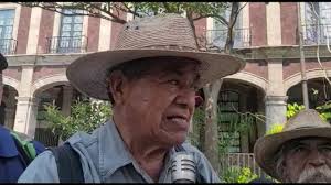 Reforma electoral, retroceso para los derechos indígenas