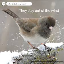 Image result for Dark Gray 1977 Caloric