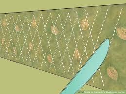 How To Remove A Wallpaper Border Remove Wallpaper Borders Cleaning Hacks Wallpaper Border