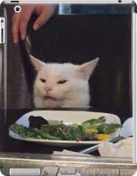 Salad Cat Meme Ipad Case Skin By Jamdonut1 In 2021 Cat Memes White Cat Meme Cats