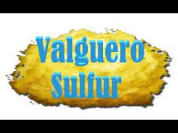 This article is about cactus sap, not to be confused with sap, blue crystalized sap , or red crystalized sap. Cactus Sap Valguero Youtube