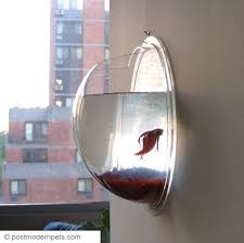 A Friend Of Mine S Work Had A Betta In This Tank Right Under The Ac Poor Thing Lived A Miserable Life Bubble Wall Modern Fish Tank Fish Tank