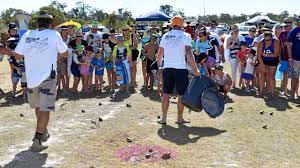 Cane toads are capable of moving nearly 1 mile in one night and that is translating into a major problem in australia. Cane Toads And Other Critters Draw Up Invasion Plans Daily Telegraph