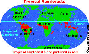 Tropical rainforests are found in a tropical belt around the equator where annual temperature and precipitation are high. Where Are Rainforests Rainforest Biome Rainforest Tropical Rainforest