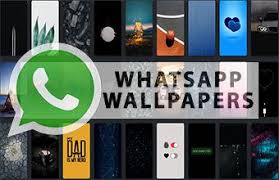 We did not find results for: Whatsapp Wallpapers Hd