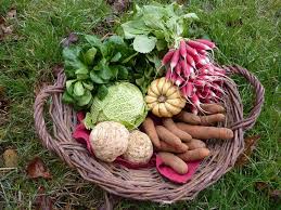 Redecouvrir Les Legumes De Saison Au Coeur Des Paysans