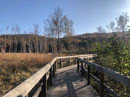 Auf unserem ballonstartplatz in der region teufelsmoor geht für unsere passagiere die ballonfahrt schon zügig los. Am Muggelsee Wandern In Berlin Durchs Teufelsseemoor Auf Die Muggelberge Unterwegs Mit Kind