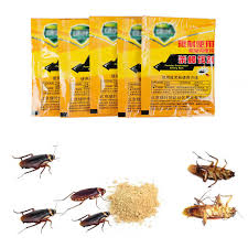 It is obvious that some of grown roaches will survive while some eggs will be hatched. New 5 Pcs Kill Roaches Medicine Poison From Cockroaches Cockroach Killer Pest Control Cockroach Powder Insect Repellent Poison Baits Lures Aliexpress