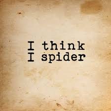 I Spider Witzige Spruche Coole Spruche Spruche