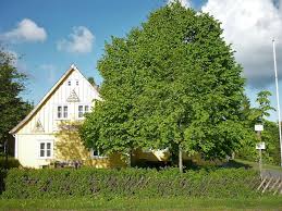 Haus sonnenberg ⭐ , austria, bodensdorf, deutschberg 85: Sonnenberg Harzklub