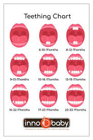 Image result for Teething