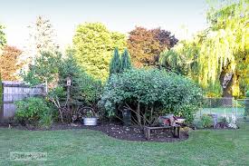 Maybe you would like to learn more about one of these? How To Revive Flowerbeds You Don T Take Care Of