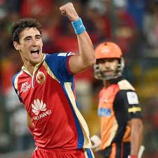 The 3rd match of ipl 2020 between virat kohli's boys and david warner's men will be played at the dubai international cricket stadium on september 21. Mitchell Stac Of Rcb Exults After He Dismissed Aaron Finch Of Srh In The Ipl Match Played At Chinnaswamy Stadium In Bangalore On Sunday