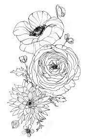 Ranunculus Tattoo Google Search Poppies Tattoo Pattern Tattoo Ranunculus Painting