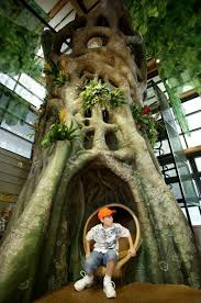 Client Woodland Park Zoo Design Dillon Works With Aldrich Pears Venue Seattle Wa Espacios De Juego Conciertos De Verano Parques