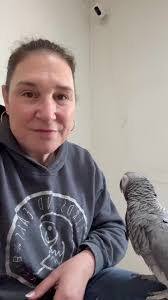 Did Misty's Bird Die