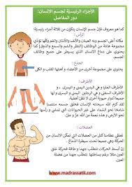 الأجزاء الرئيسي ة لجسم الانسان دور المفاصل موقع مدرستي comics puns peanuts comics