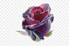 Dahlias, daisies, roses, peonies, blue bonnets, daffodils, dandelions, & more Watercolor Flowers Drawing Artist Wine Red Rose Oil Draw Paint Clipart 2557164 Pikpng