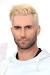 Adam Levine Blonde Cornrows