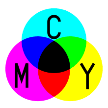 They do not mediate color vision, and have a low spatial acuity. Color Wikipedia