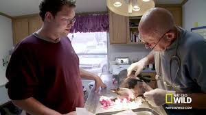 Pol lives in weidman, michigan, and in 1981 he founded pol veterinary services with his wife, diane. Reality Tv S Dr Pol Awaits State Ruling On Licensing Complaint