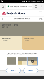 This colour is part of colour preview. Benjamin Moore Smoked Truffle Benjamin Moore Smoke Truffles Painting Tips