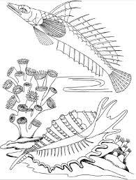 Cartoon eel fish showing hands. Fish Coloring Pages 100 Pictures Free Printable