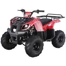 tao tao 125d 125cc atv w reserve utility atv