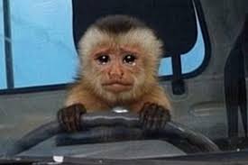 Lessly Rodríguez added a new photo.