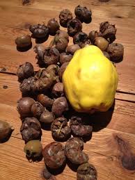 We did not find results for: Quince And Medlar Jelly Latest Nigella Lawson