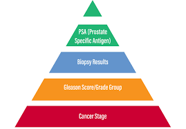 Being armed with information is vital to begin the fight. Understanding Prostate Cancer Risk Factors Phenpath Com Prostate Health Education Network