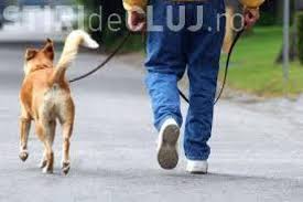 Dpinde de cat de mare vrei sa'l faci.trebuie sa platesti tusul, acele si manopera. Mai MulÈi Clujeni Se Plang De StÄpanii De Caini Care Nu AdunÄ Excrementele Animalelor SÄ Presteze MuncÄ In Folosul ComunitÄÈii Stiri De Cluj