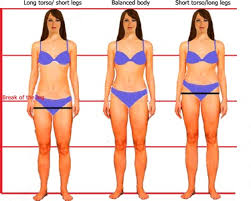 Gently lean the body forward. Discover Your Body S Vertical Balance Elements Of Image