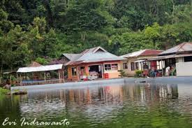 Layaknya jaringan media sosial dimana manusia terhubung. Apakah Ada Ikan Sakti Di Sungai Jernih Ikan Sakti Sungai Janiah Kalau Mati Dikafani Halaman 1 Cerita Rakyat Dari Sumatra Barat Mengenai Asal Mula Ikan Sakti Sungai Janiah Sungai