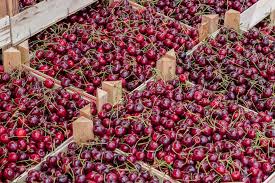 Kết quả hình ảnh cho farm cherry